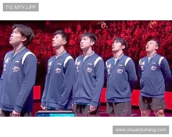 广州排球队全运会精彩表现团队协作助力夺冠的深度分析与点评