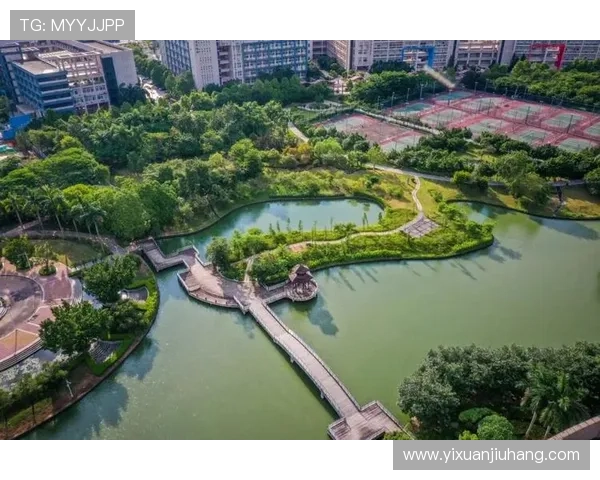 广州排球队在洲际杯中的蜕变与未来发展之路探索