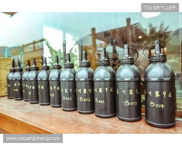 广州极限运动队整体压制打法深度分析与战术解读