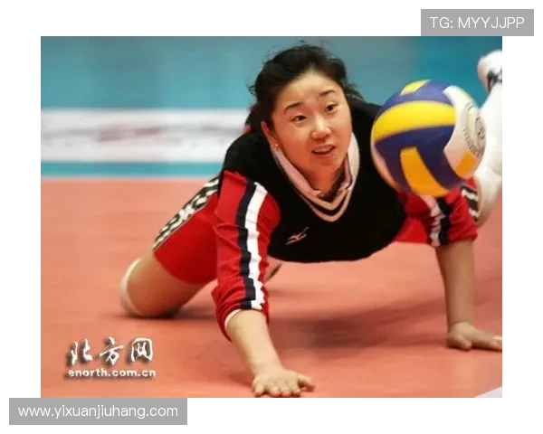 张娜专访揭秘乒乓球成功秘诀与背后故事分享